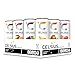 CELSIUS Variety Pack, 12 Oz. Cans, (Pack of 12)