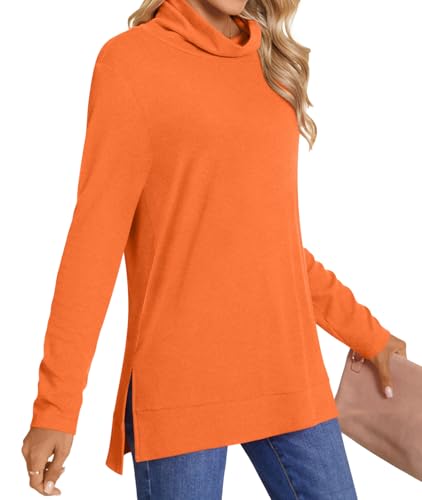 LONGYUAN Women's Tunic Tops Long Sleeve Shirts Turtleneck 2025 Trendy Lightweight Sweaters2