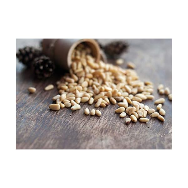Organic Pine Nuts, 1 Pound – Non-GMO, Whole Raw Pignolias, Unsalted, No Shell, Vegan, Kosher, Bulk Snack. Rich in Vitamin E, Protein. Great for Pesto, Salads, Homemade Desserts, and as a Topping.