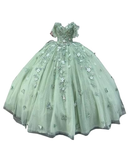 Cute Ball Gown with Butterfly 3D Flower Lace Pattern Quinceanera Prom Dresses for Women Cocktail Party