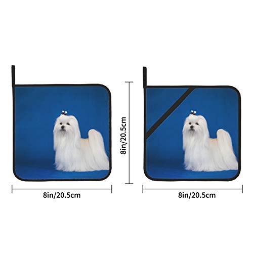 Long Hair Maltese White Pet Hot Pad Heat Resistant Pot Holder 2 Pcs Pot Holders With Pockets 8×8 Inch For Cooking And Baking #TOP2