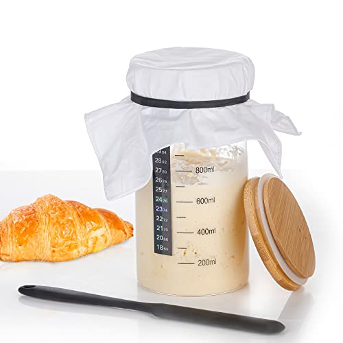 Find The Best Jar For Sourdough Starter Reviews & Comparison Katynel