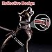 WINSEE Pet Harness Collar and Leash Set, All-in-one Reflective Dog Harness No Pull with Adjustable Buckles for Puppies, Small, Medium, Large, and Extra-Large Dogs (Medium, Red)