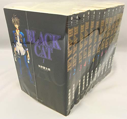 BLACK CAT 文庫版 コミック 全12巻完結セット (コミック版) BLACK CAT 文庫版 コミック 全12巻完結セット (コミック版)