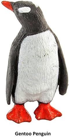 Safari Penguins,White