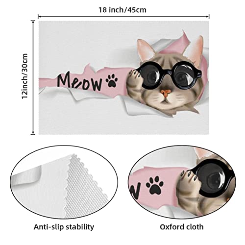 Set de table chat noir 30x45 lot de 6 dessous de plat isolant lavable cuisine