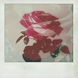 Carverboyliving/YPForever