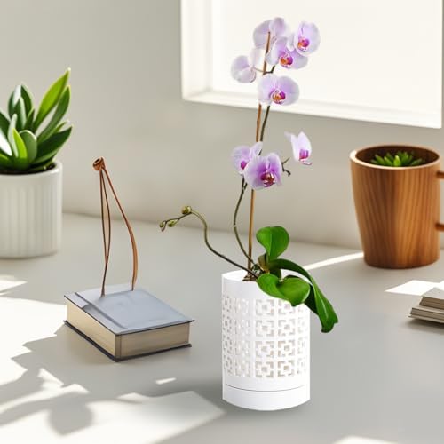 Pots à orchidées avec trous pot de rempotage céramique respirant Jorzer 10cm - 5