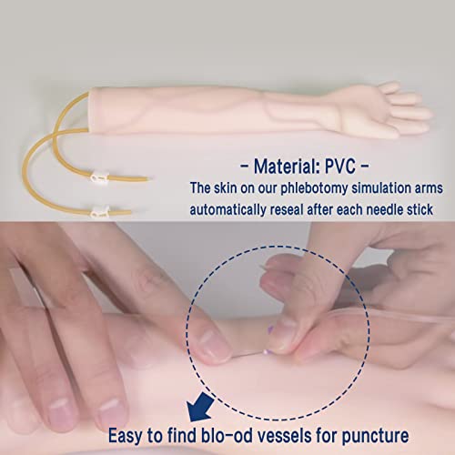 Arm IV Practice Model - Phlebotomy and Venipuncture Training Arm for Nurse Apprentice Doctor Intravenous Injection, Infusion,Blood Drawing Procedures Exercise Improvement