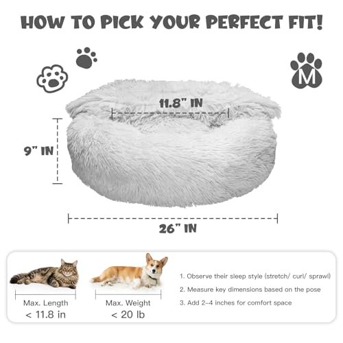 Image of Himax Dog Beds for Small Medium Dogs, Donut Dog Bed with Blanket Attached, Calming Dogs Bed Washable (20 inch /26 inch /35 inch) Light Grey