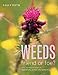 Weeds : Friend or Foe? - An Illustrated Guide to Identifying, Taming and Using Weeds