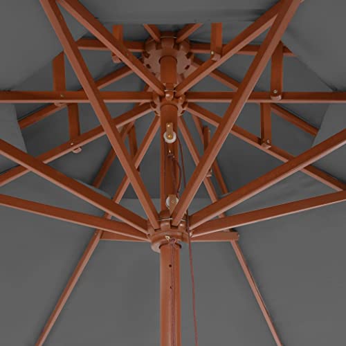 Parasol antracita de diseño con poste de madera selecta CLSDRZC 3