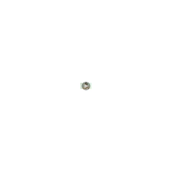 Taruna Biyani Non-precious Metal Silver Plated and Pearl Necklace Mala Set for Women - Image 3