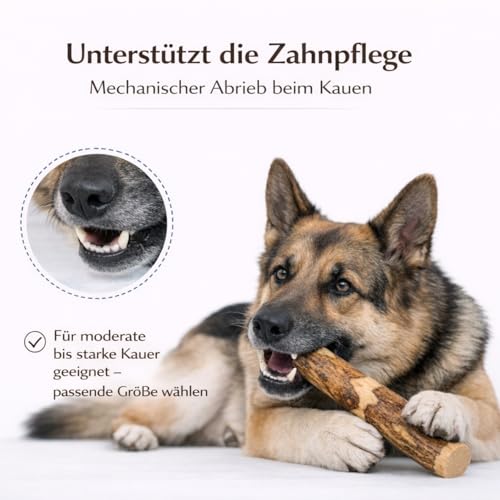 Alp Chew Olivenholz Kauholz für Hunde – Robustes Kauspielzeug zur Zahnpflege, Größe L (250–400 g), 2er Pack