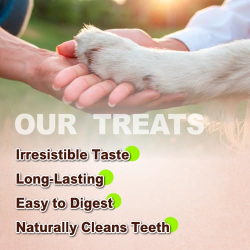 afreschi turkey tendons for dogs usa-sourced healthy dog treats rawhide-free puppy chews long lasting all natural hypoallergenic dog treats for small breeds 3 oz pack strips