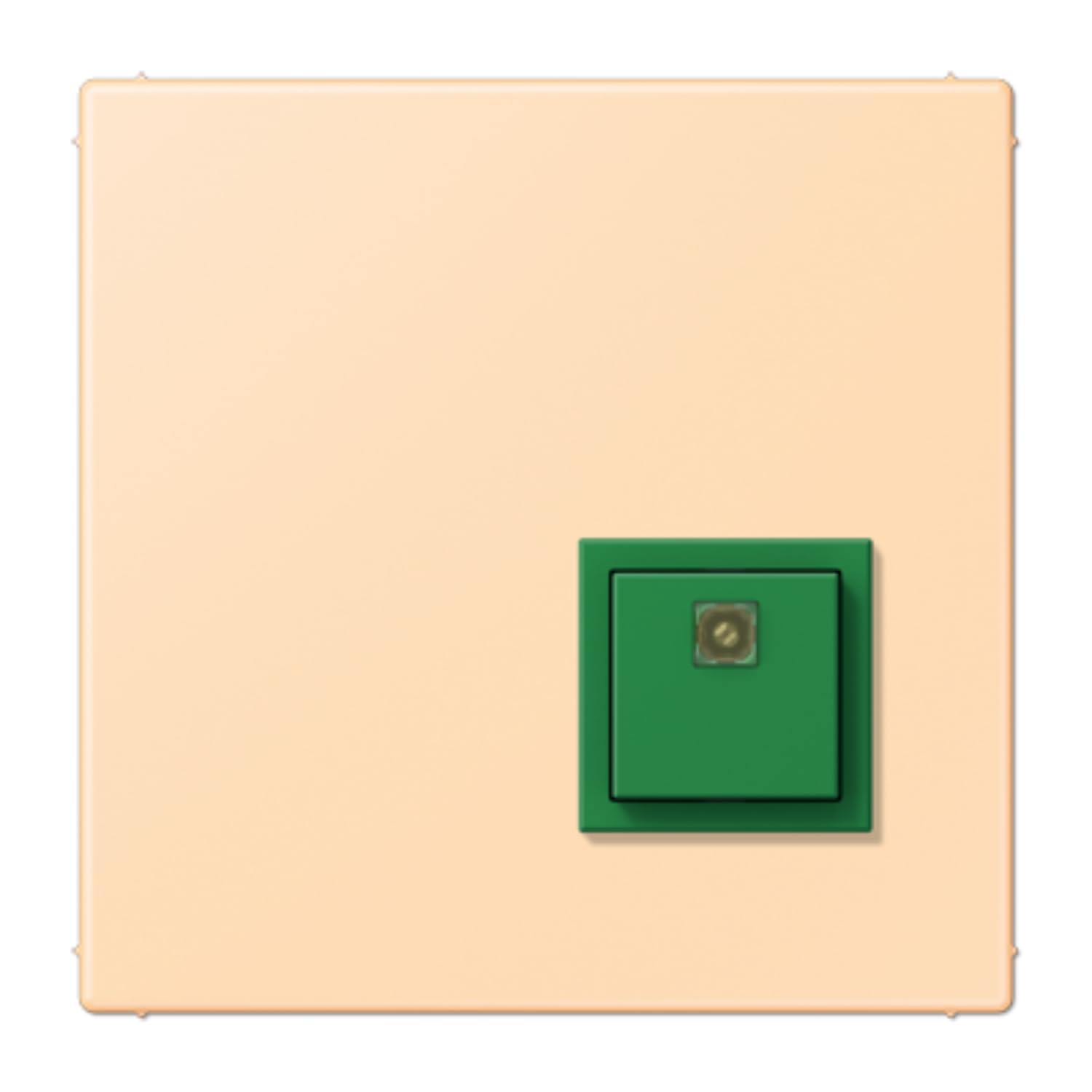 Bouton de confirmation LC32060 interrupteur poussoir JUNG NRSLC0834AT223