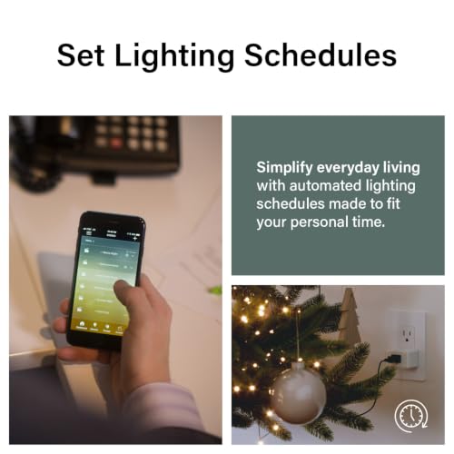 Image of Legrand Radiant Wi-Fi Matter Smart Plug Matter Hub Required 15A, Easy Setup, Enhanced Compatibility with Apple HomeKit, Google Home, Alexa & SmartThings, Easy Wi-Fi Connectivity w /Matter (1 Pack)