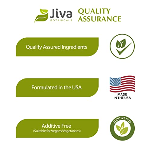 Jiva Botanicals Gymnema Sylvestre Capsules - Gymnema Sylvestre Supplement - Gymnema Leaf Powder Extract With High Potency Formula - Overall Immune System Support Supplement - 90 Vegan Capsules #TOP4