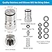 MRbrew Cornelius Type Ball Lock Keg Posts,Stainless Steel Poppets and Springs,Poppet Female Thread Gas + Liquid 19/32-18 Thread (Post & Poppet)