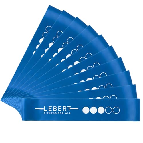 Lebert Mini Bands – Set of 10 Blue Resistance Loop Bands