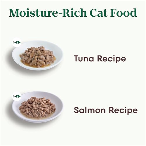 Image of Nutro Cuts in Gravy Wet Cat Food, Salmon & Chicken, 2.6 oz, 12 Count, 2pack
