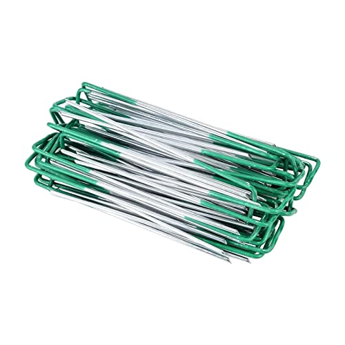 Jiswhisker 50 /ZbgdʂꂽC[U^Cv̓B̎Ő̃eg^[tXe[LtFXAJ[c[