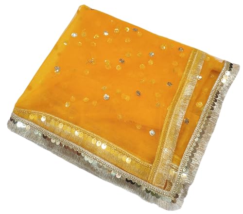 Image of Navti Creations Women's Lightweight Net Dupatta With Sequence Embroidery & Kiran Border (Length 2.25m)