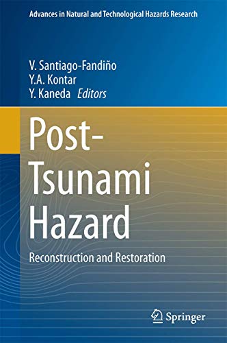 Post-Tsunami Hazard view 2