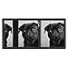 LPSBVNM Cute Black Pug Dog Trifold Wallet Slim Security Wallet for Men Women Card Holder Key Ring Photo Window Fashion Wallets