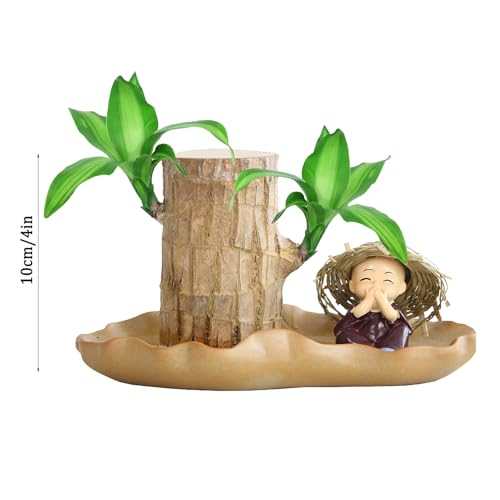 Bois brésilien miniature souche en pot sans terreau pour table basse - 6