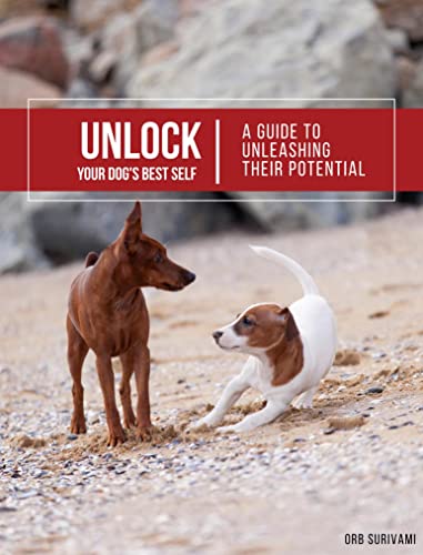 Unlock Your Dog's Best Self: A Guide to Unleashing Their Potential