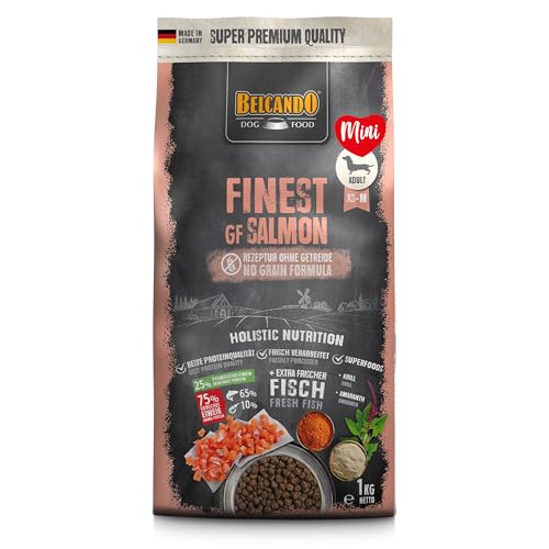 Belcando Finest GF Salmon [1 kg] getreidefreies Hundefutter | Trockenfutter für kleine & mittlere Hunde | Alleinfuttermittel für Hunde ab 1 Jahr