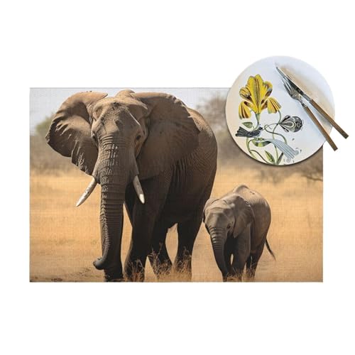 Set de table antidérapant motif éléphant pour protéger la table de cuisine