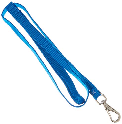 MY PET BRASIL Conjunto Colete Com Guia Sportuguês N.1 My Pet Brasil Para Cães