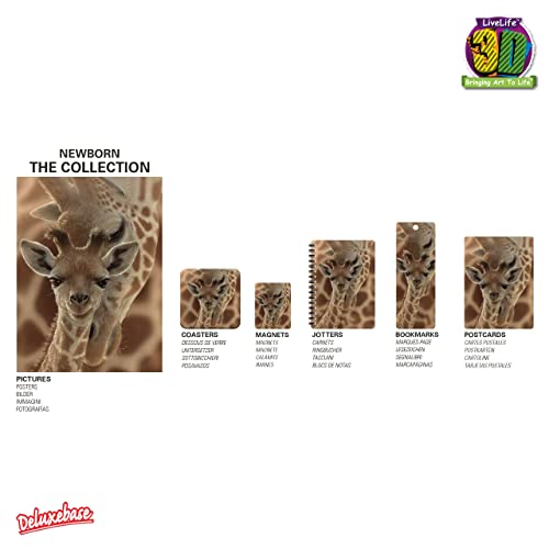 3D Livelife Lenticular Wall Art Prints - Newborn From Deluxebase. Unframed 3D Giraffe Poster. Perfect Wall Decor. Original Artwork Licensed From Renowned Artist, Collin Bogle #TOP6