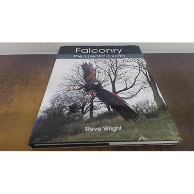 Falconry
