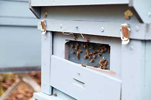 nectarvit PET Propolis Pulver - Die natürliche Wahl für die Gesundheit Ihres Tieres - 50 g