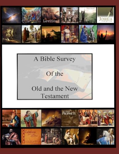 Bible Survey Of The Old And New Testaments