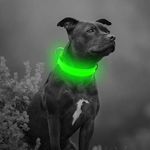 BSEEN LED Lighted Dog Collar - USB Rechargeable Adjustable Glowing Pet Collar, Light Up Nylon Puppy Collars for Nighttime Dog Walking (Small Collar [15-18.9inch/38-48cm], Neon Green)