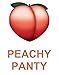 Peachy Panty Women's Pack of 6 High-Rise Girdle Panties High-Waist Tummy Control Girdle Panties (X-Large)
