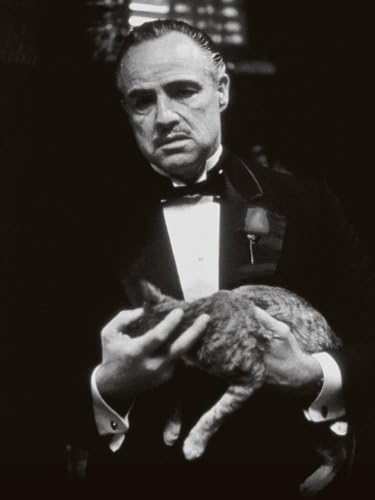 The Godfather "Cat Canvas Print, Cotton, Multi-Colour, 3.20 x 60.00 x 80.00 cm