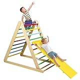 Maxmass 2 in 1 Kids Climbing Ladder