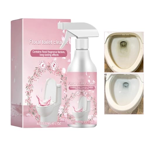 ֊pN[i[A֊N[i[ | ֊܃gCN[i[t | t[tOXꏜ܁AoX[gCN[i[A120ml gC|pi