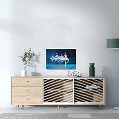 Tableau ballet ballerine sur les pointes affiche danse classique 45x30cm - 3