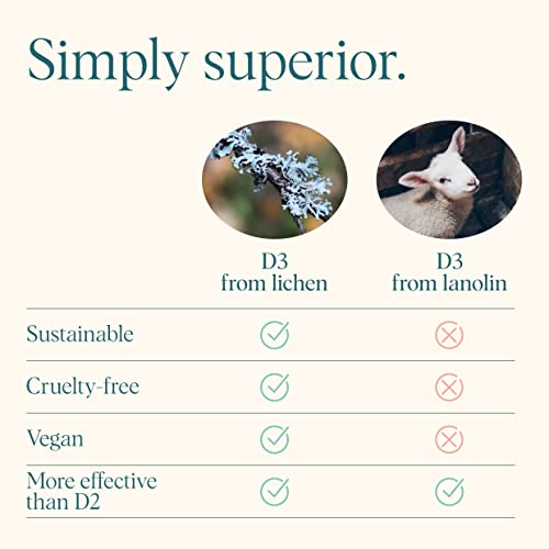 Ora Organic Vitamin D3 2000Iu - Vegan Vitamin D From Lichen For Bone Health, Immune Support, & Mood | Maximum Absorption - 1 Month Supply, 30 Vegan Tablets #TOP2
