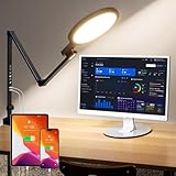 LIFENGSOLER Clamp Desk Light,Eye-Care Office Desk Lamp with USB Charging Ports, 1200LM 5 Color Temp Dimmable Swing Arm Desk Light for Home Office, Computer Monitor, Video Conference & Zoom Meetings