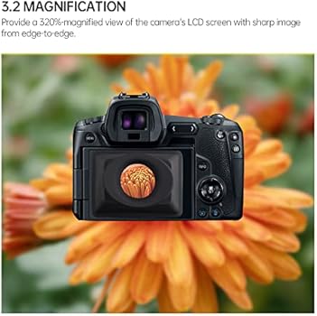 difference between viewfinder and lcd screen factory
