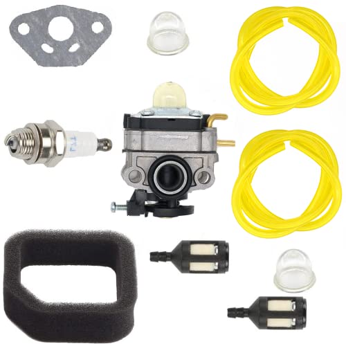 SAKITAM Carburetor Kit for CC148 CC149 Tiller Cultivator & Gasket Fuel Filter
