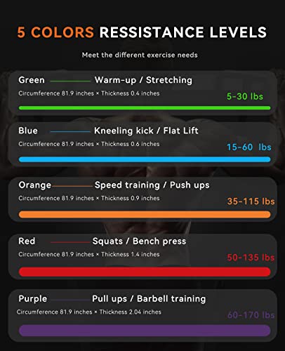 Sunpow Pull Up Assistance Bands - Set Of 5 Resistance Heavy Duty Workout Exercise Stretch Fitness Bands Assist Set For Body, Instruction Guide And Carry Bag Included #TOP2