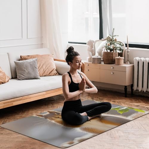 Tapis de bain écureuil grand format antidérapant et lavable en velours